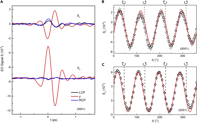 Figure 3