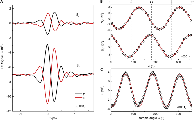 Figure 2