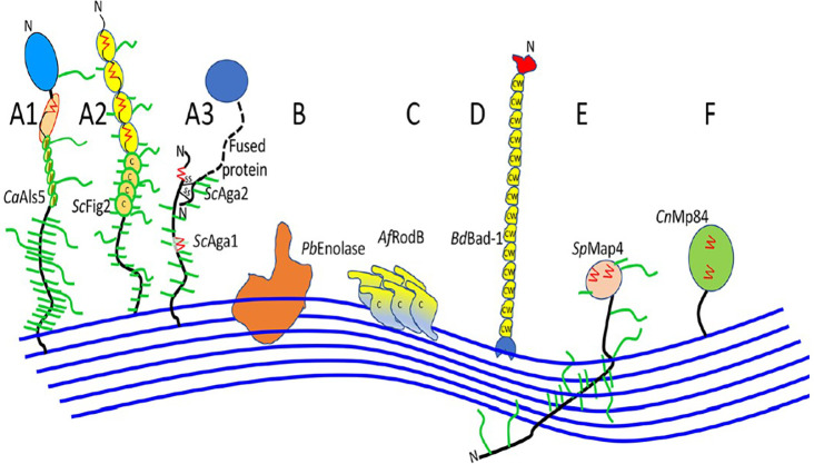 Figure 3. 