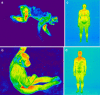Fig. 7