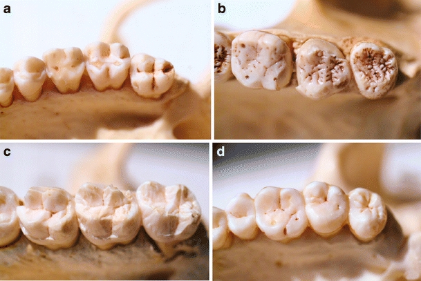 Fig. 3