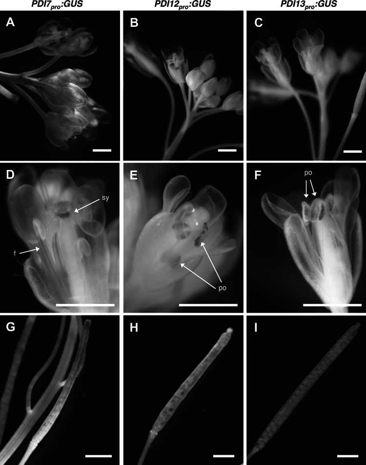 Fig. 6