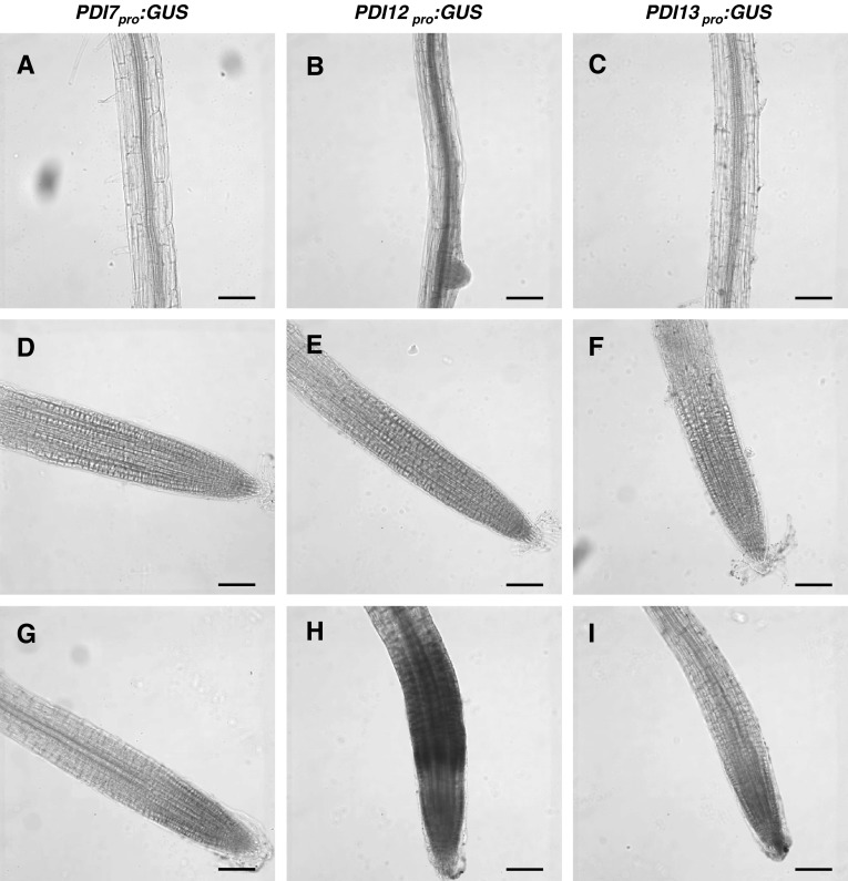 Fig. 5