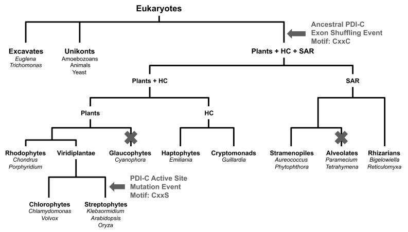 Fig. 7