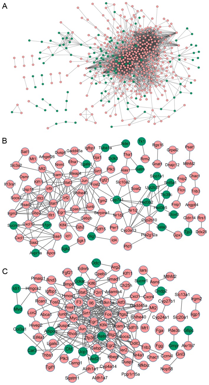 Figure 3.