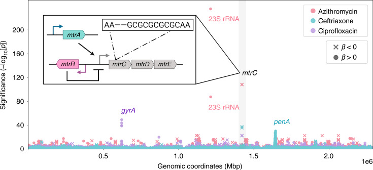 Fig. 2