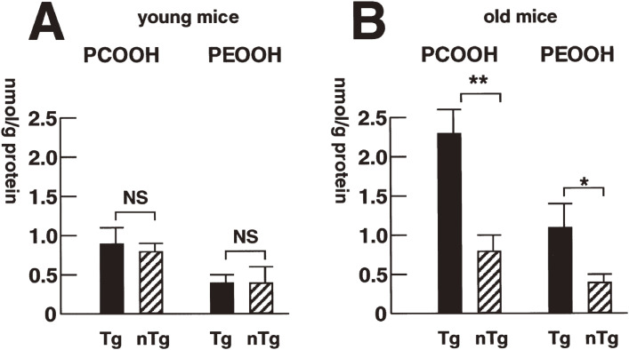 Figure 26. 