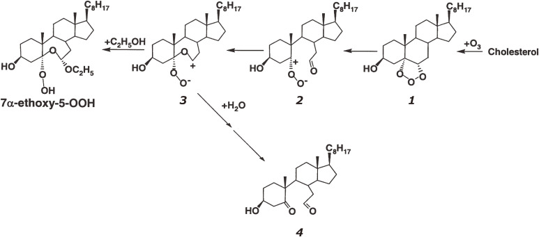 Figure 10. 