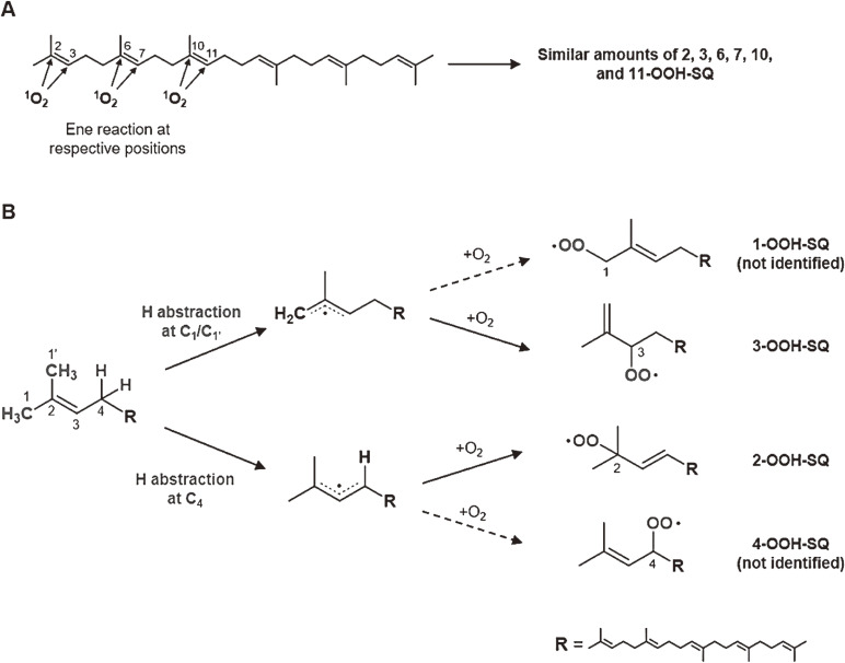 Figure 12. 