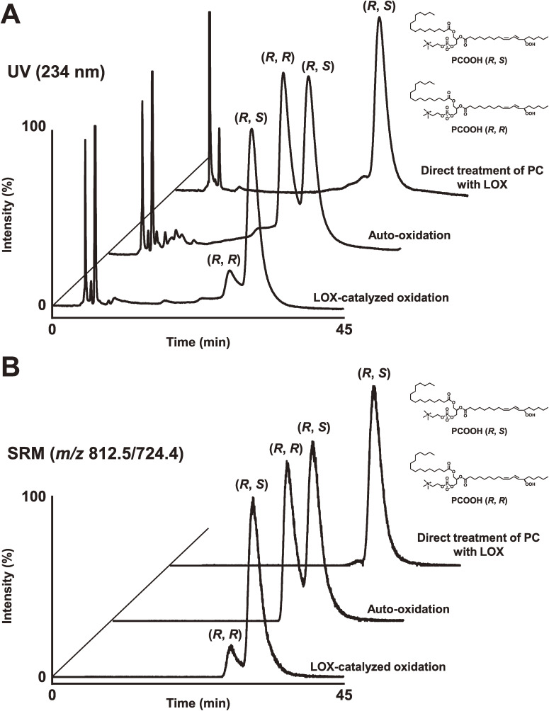 Figure 20. 