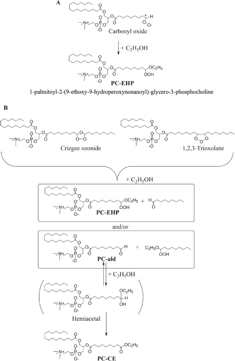 Figure 9. 