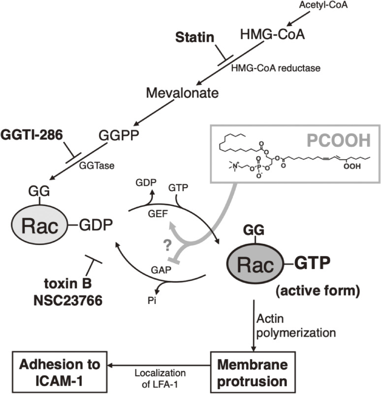 Figure 14. 