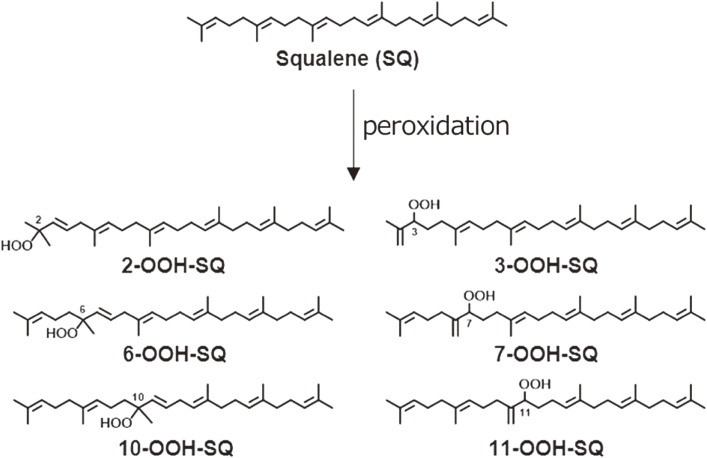 Figure 11. 