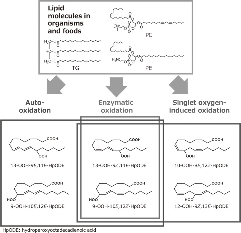 Figure 16. 