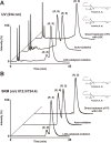 Figure 20.