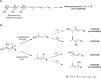 Figure 12.