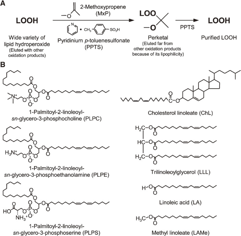 Figure 17. 