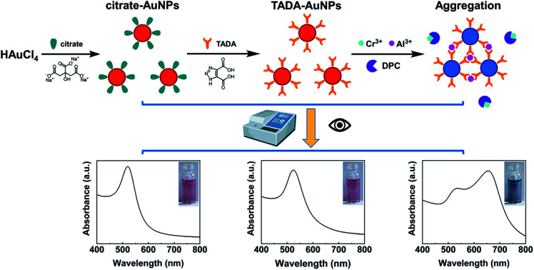 graphic file with name d1ra04834a-ga.jpg