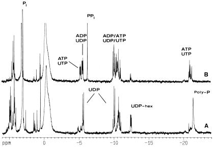 FIG. 6