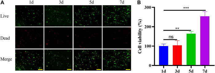 FIGURE 3