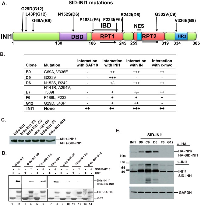 FIG 1