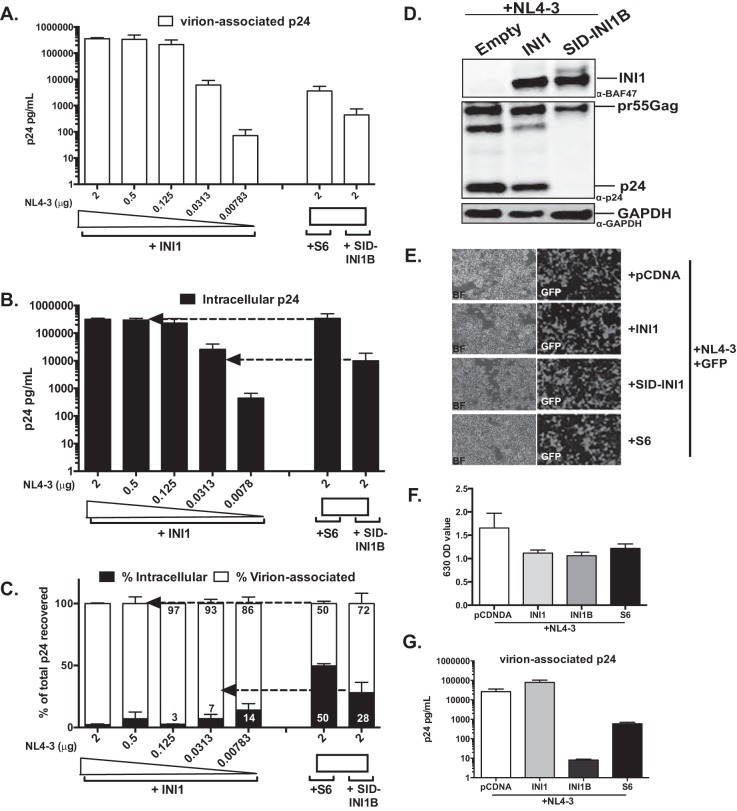 FIG 3