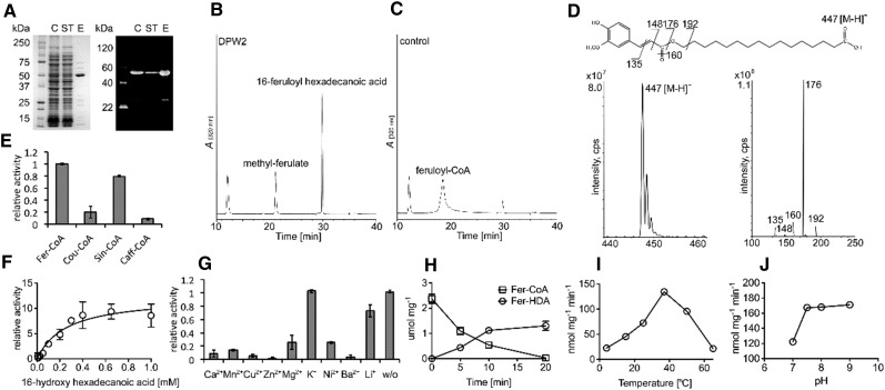 Figure 10.