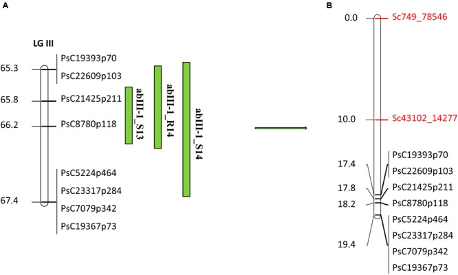 FIGURE 6