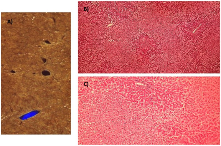 Figure 7