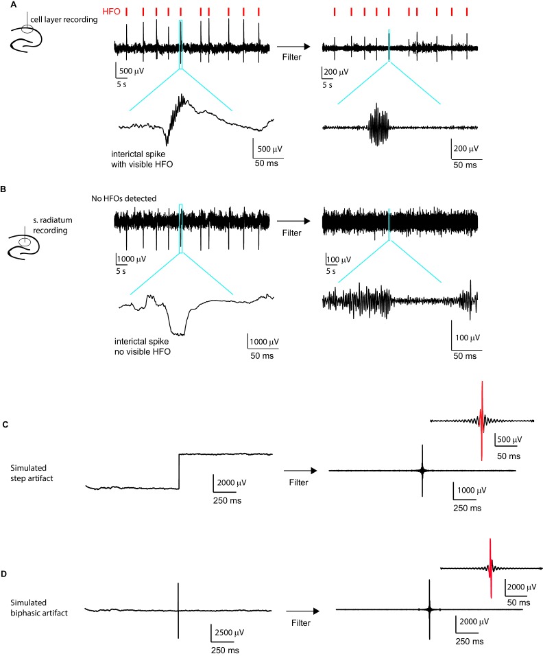 Figure 1—figure supplement 2.