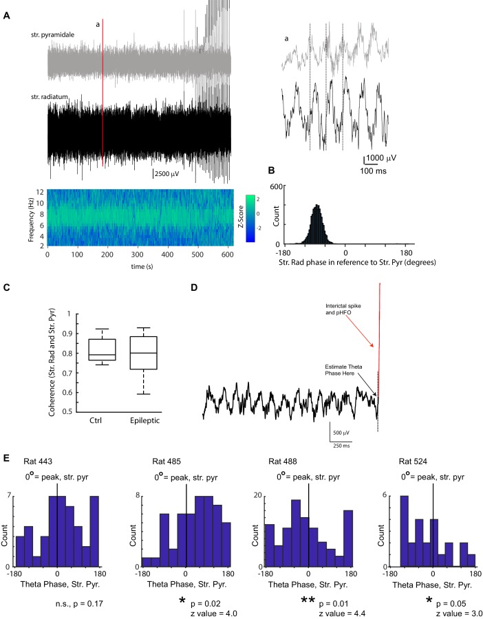 Figure 3—figure supplement 1.