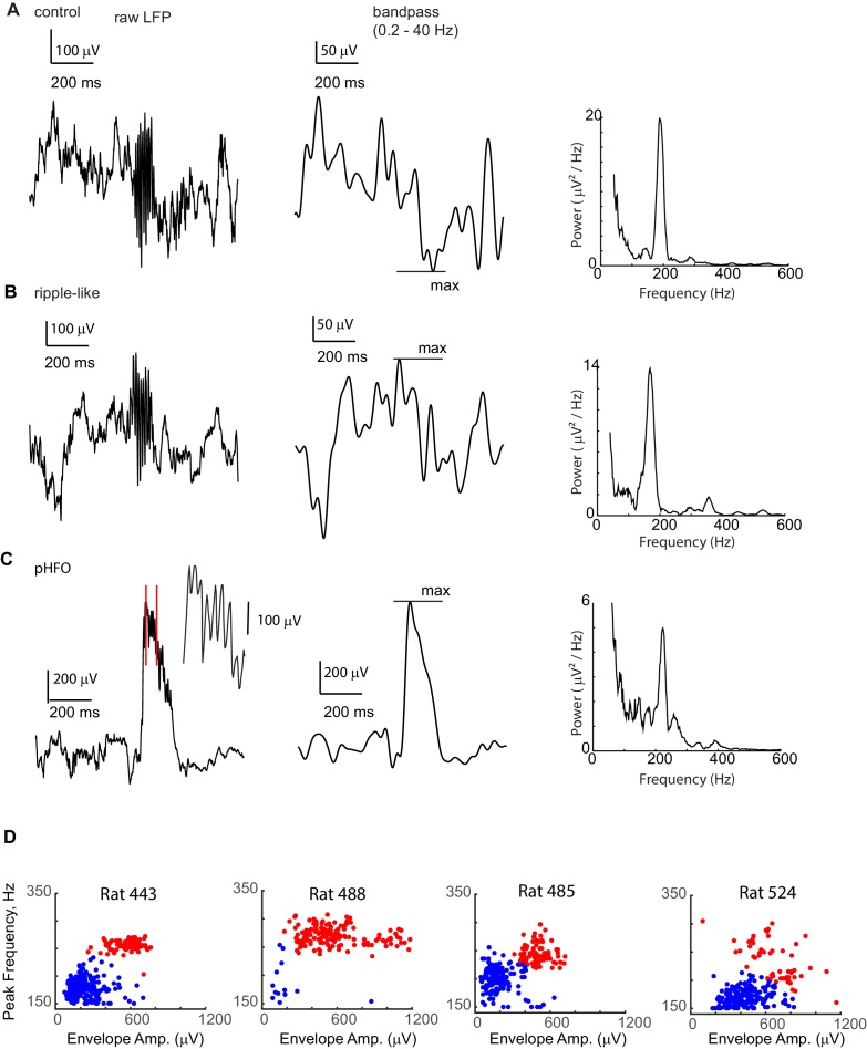 Figure 2—figure supplement 1.