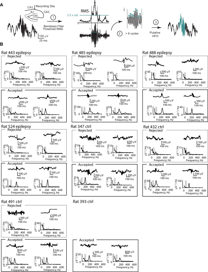 Figure 1—figure supplement 1.