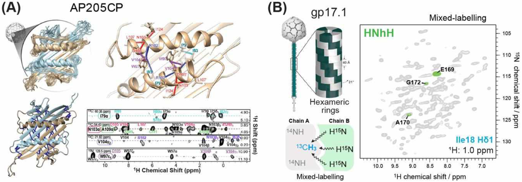 Figure 11.