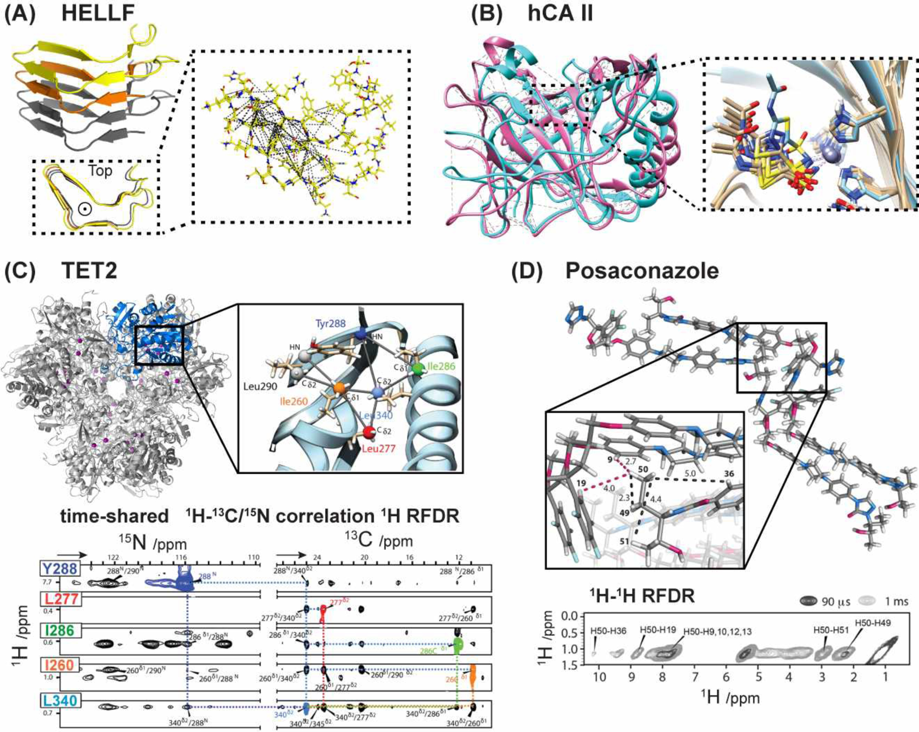 Figure 13.