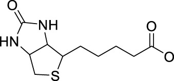graphic file with name fchem-10-876410-fx50.jpg