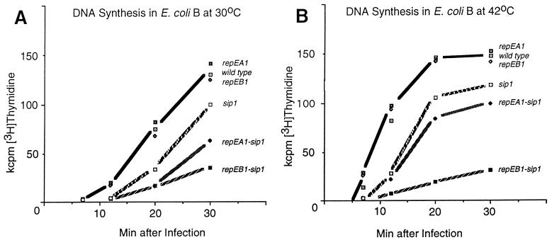 FIG. 6