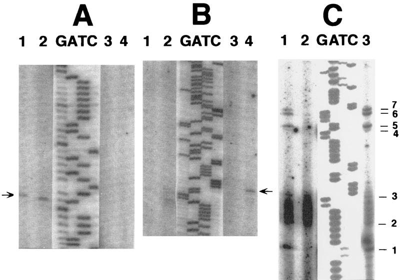 FIG. 7