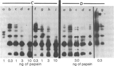 graphic file with name pnas00004-0288-c.jpg