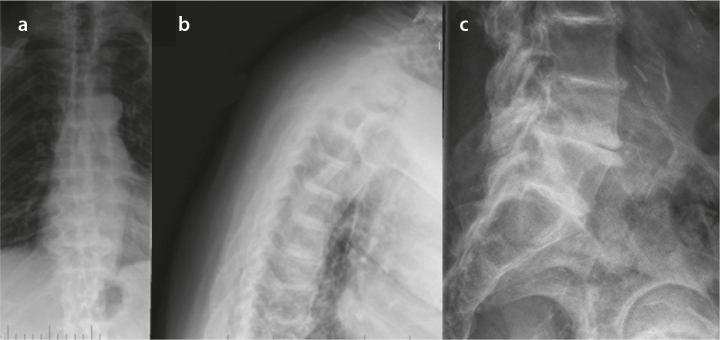 Figure 3. a–c