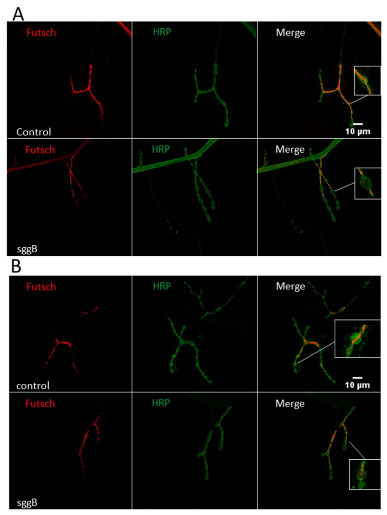 Figure 10