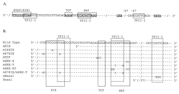 FIG. 1