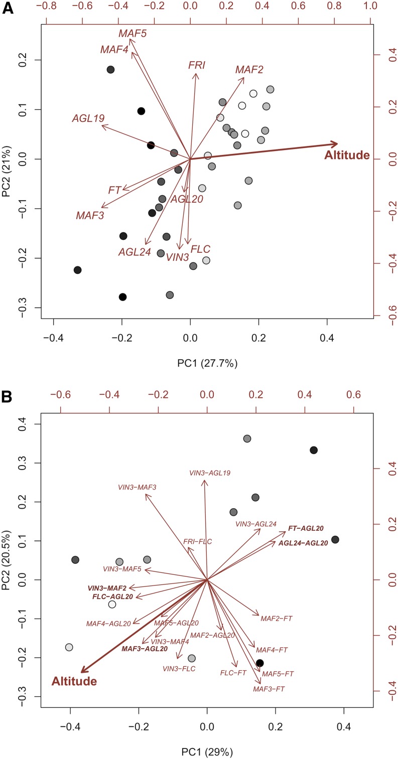 Figure 5.