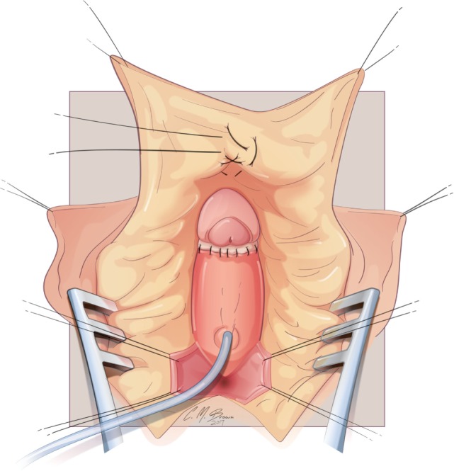 Figure 8