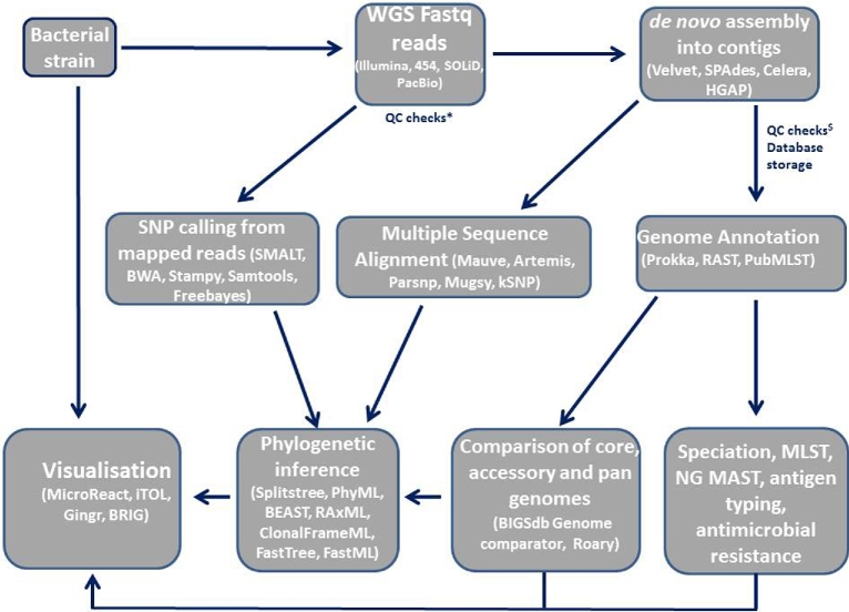 Figure 2.