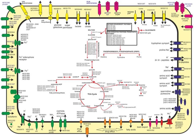 Figure 3.