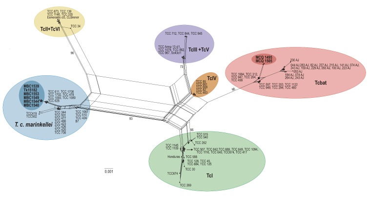 Fig 1