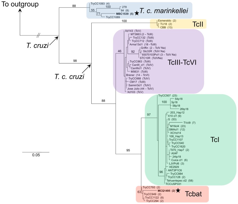 Fig 2