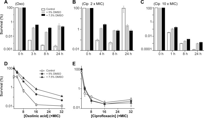 FIG 2