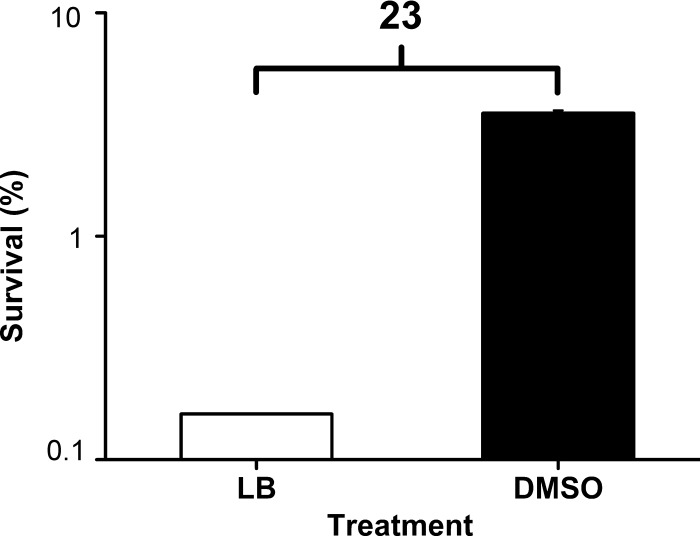 FIG 6